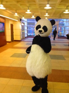 pANDAMAN